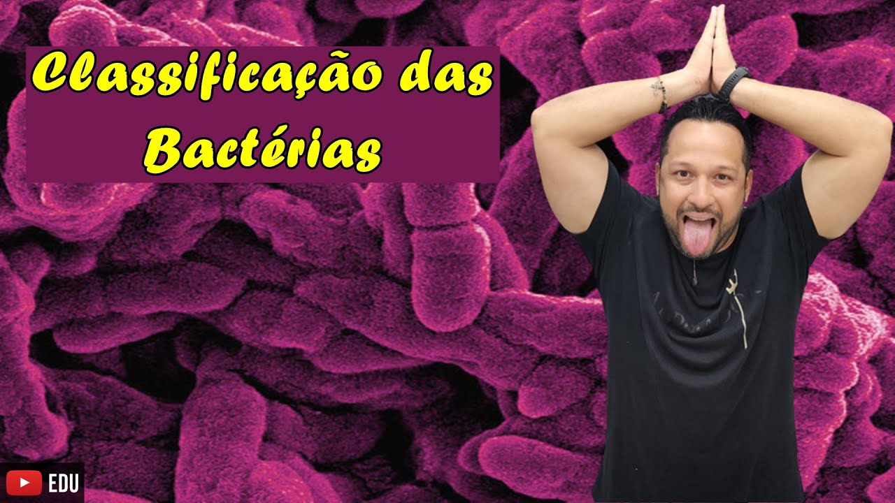 Classificação das Bactérias - Quanto a Forma e a Agregação - Microbiologia - Reino Bacteria