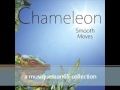Don't Look Back | Chameleon