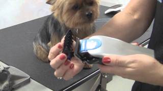 Easy Clip QuickStyle