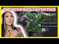 THIS MADE ME CRY Nightwish Procession Reaction Analysis