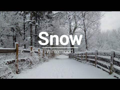 Snow | wintermood | Hooria's Heaven 