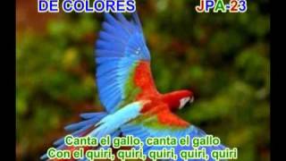 DE COLORES - SPANISH TRADITIONAL SONG