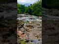 සුන්දරමගෙරට Beautifulnature Naturelovers Familytravel Shorts Bestplacetotravel