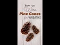 How to Use Pine Cones for Wreath Making & Christmas Decorations #shorts