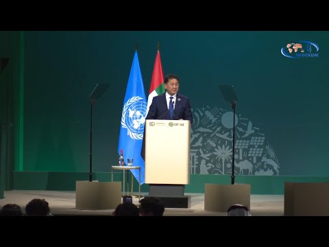 国連気候変動枠組条約第28回締約国会議（COP28）