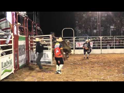 Maracai Rodeio Show 2013