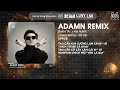 ADAMN REMIX PHẠM TÀI X AM REMIX TAO CẦN KIM CƯƠNG LÀM CÁI Đ GÌ THÍCH THÌ BÊ CẢ KHAY 