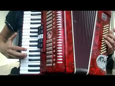 Irish Accordion Lesson - The Kesh Jig.