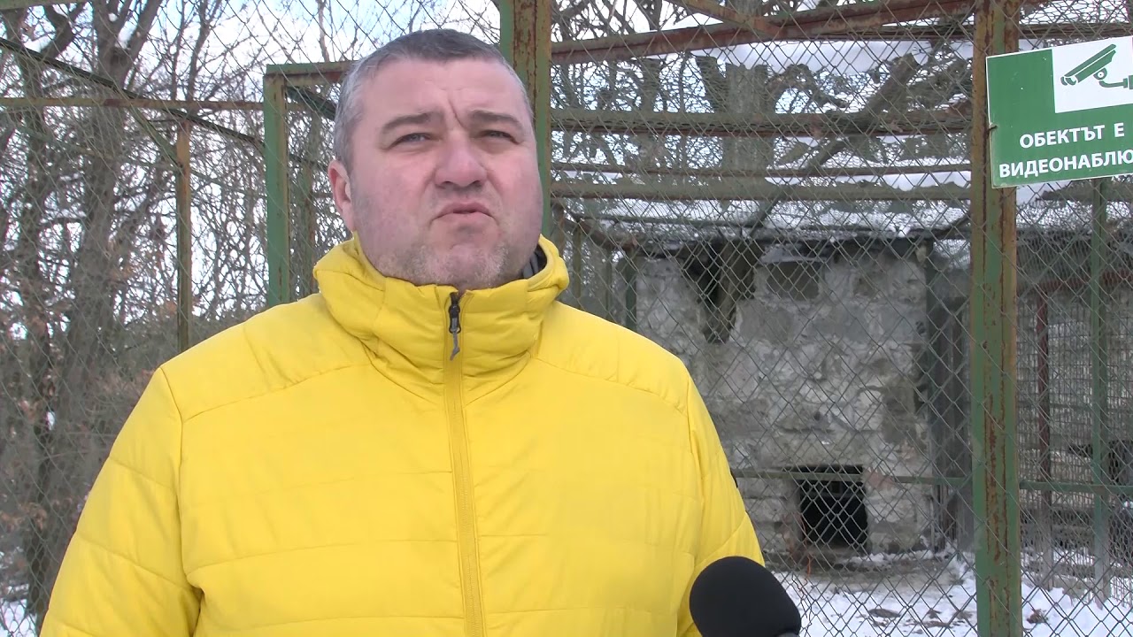 Вълчицата от Кенана вече е в зоопарка