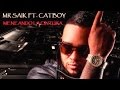 Mr. Saik ft. Catboy - Meneando la cintura 