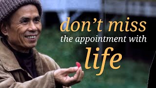 Life Is Here and Now | Teaching by Thich Nhat Hanh | #mindfulness
