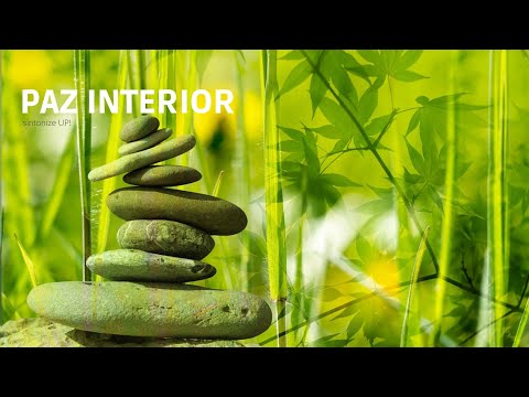Bem Estar e Paz Interior – Música Relaxante ao Som de Chuva