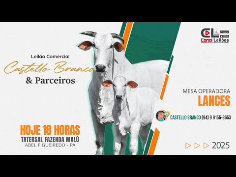 LEILÃO ESPECIAL CASTELO BRANCO & PARCEIROS | ABEL FIGUEIREDO-PA