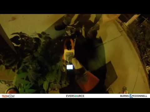 Stray Voltage Sniffing