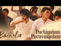 Pachigalam Paravaigalam Song From Bachelor Gv Prakash Bachelor Gvprakash Pachigalamparavaigalam