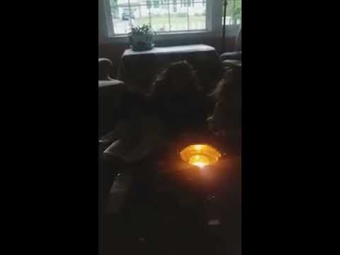 Dybbuk Box ATTACKS & Haunted Dolls