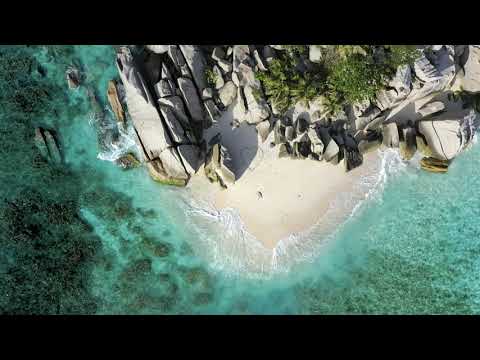 Waxel-Tropical Summer