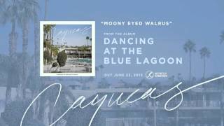 Cayucas - "Moony Eyed Walrus" Official Audio