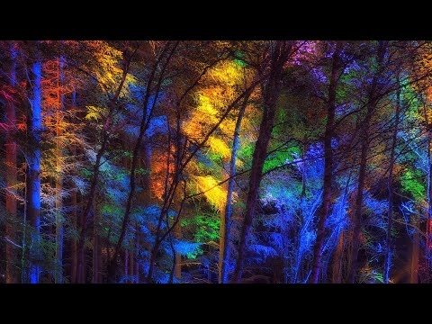 Progressive World - Ghost Rider - Unseen Dimensions - Durs - Neelix - Day Din - Audiotec + +