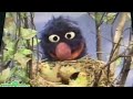 Sesame Street Grover And The Yellow Birds