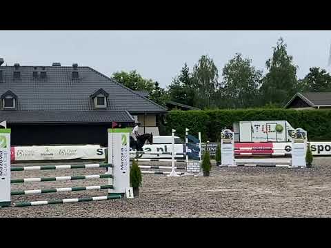 Diego (Grandorado x Diamant de Semilly) 2021/07/23 ZO Warka - 4yo 105cm I SPRZEDANY / SOLD