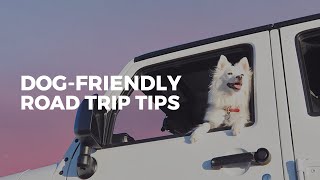Tips for ROAD TRIPS with dogs | Dog Owner Guide