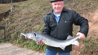 Рыболовная база в астрахани ревин хутор