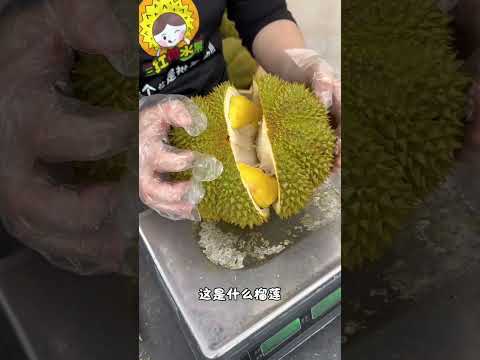 Unbox 28 Durian Varieties: Your Ultimate Guide to the King of Fruits