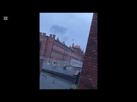 DLACZEGO KANIOL I BIENIU TO KONFIDENCI? W KILKU ZDANIACH "W OPISIE" WYJASNIAMY TEN DUET. RZUC OKIEM