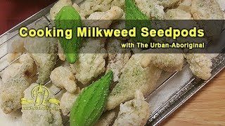Cooking Milkweed Seedpods w/ The Urban-Aboriginal