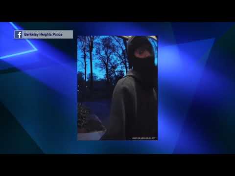 Berkeley Heights Car Theft