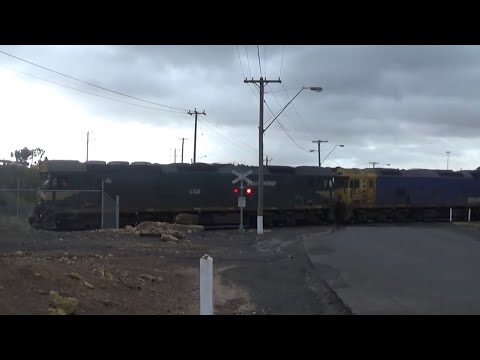 G539, BL34 On Grain At Geelong Grain Terminal