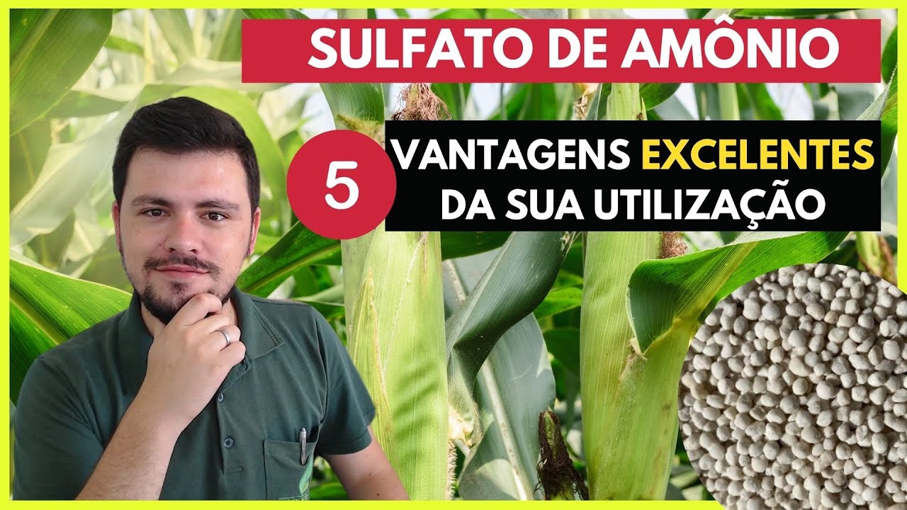 SULFATO DE AMÔNIO: 5 Grandes vantagens da sua Utilização
