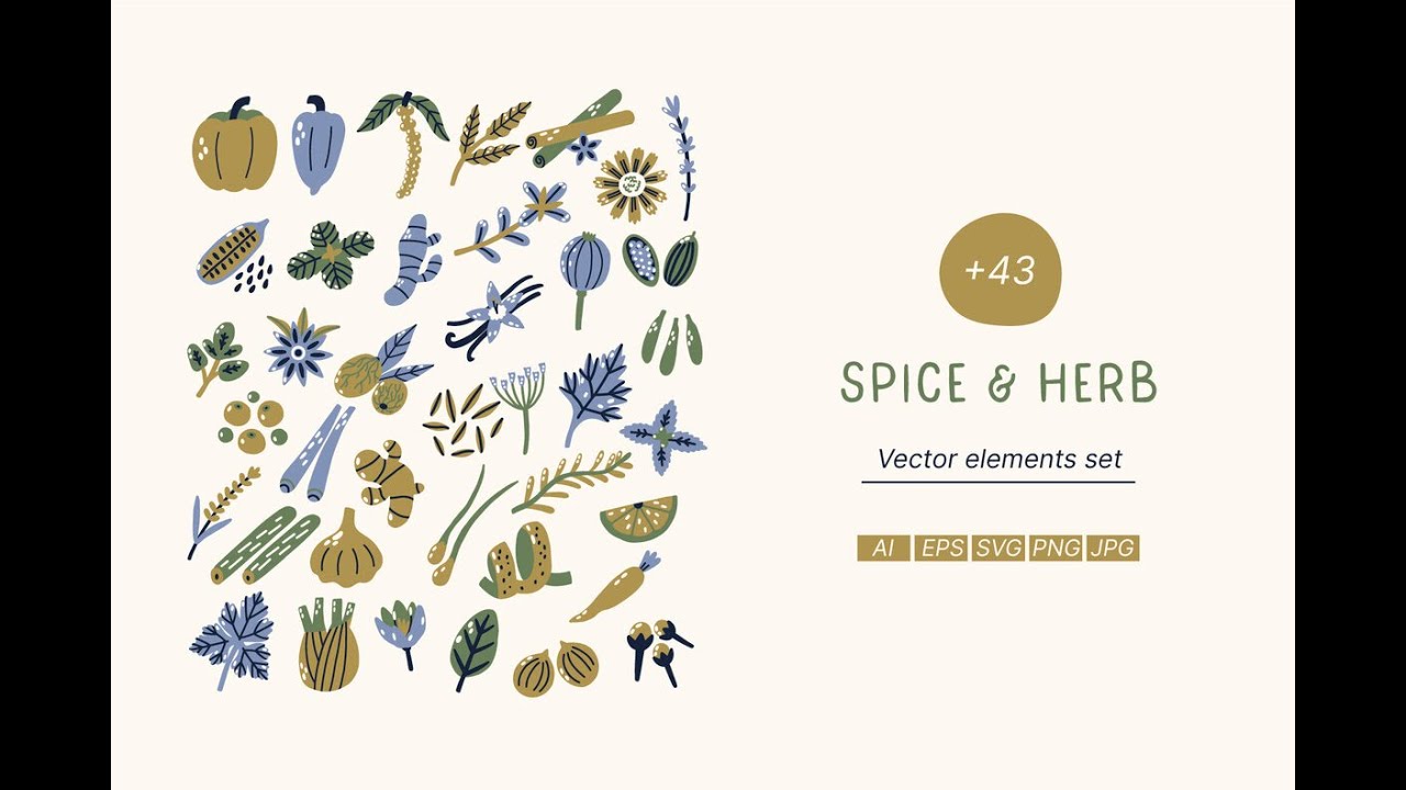 Spice and Herb vector set Stock Graphics Download