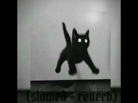 Los Retros - Someone To Spend Time With (slowed + reverb )