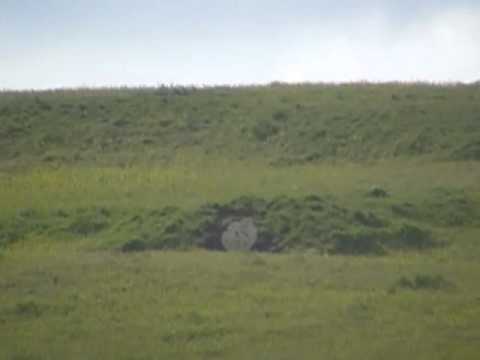 swedish mauser @ 525 yards