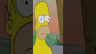 Homero defiende a Lisa