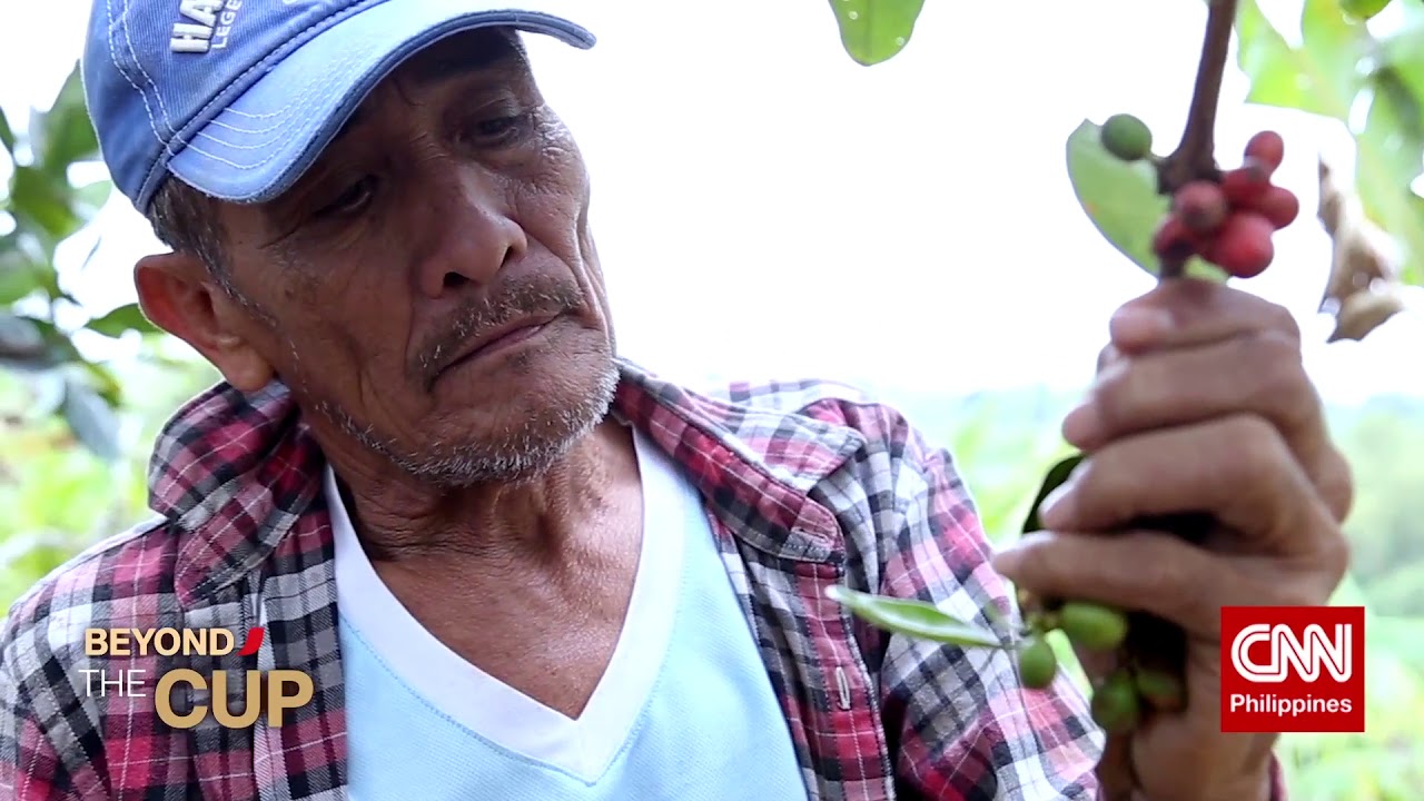 Beyond the Cup: The Philippine Coffee Industry