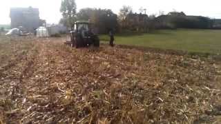 preview picture of video 'Brona talerzowa BorField 3.0 w kukurydzy po ziarnie (sprzedaż maszyn tel: 56 684 27 68)'