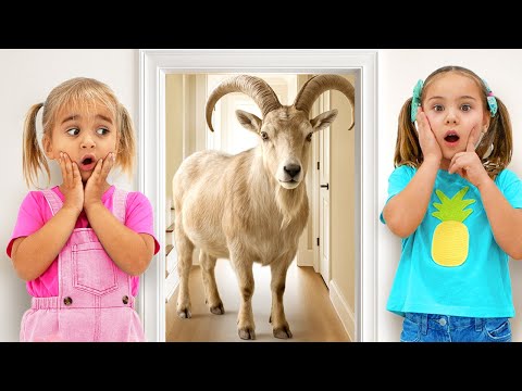 Alice Learns Farm Animals and Their Sounds and Other Fun Stories for Kids