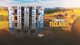 ZEZINHO DOS TECLADOS - CD ATUALIZADO - CX SAMPLEADA - PRA PAREDÃO
