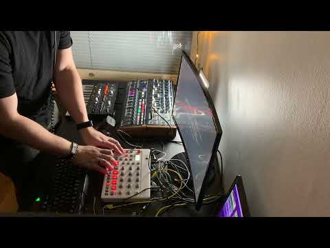 Synth Jam, 02.01.2021. Microfreak, Minibrute 2S, Model:Samples.