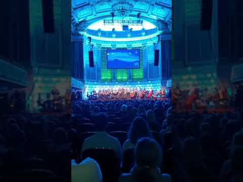 Sie leben hier - Der König der Löwen - Przemyslaw Piskozub