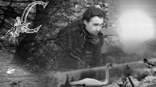 C - On Grey Days (Official Video)