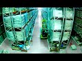 Shocking Forklift Failures Caught On Camera