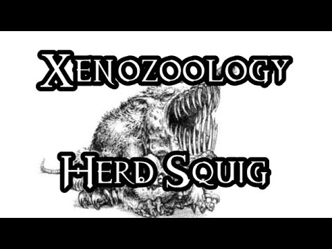 Xenozoology: Herd Squig - 40K Theories