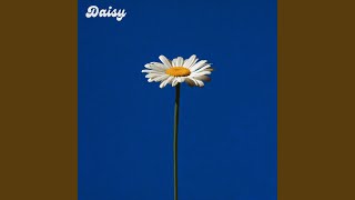 Download lagu Daisy mp3