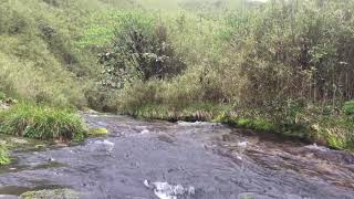 preview picture of video 'Mini waterfall at dzuko valley'