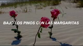 13 BEACHES lana del rey [ subtitulada español]