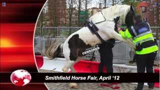 Life After Smithfield Documentary - One Man & A Piebald Pony